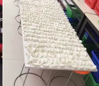 冬至來臨，公司員工一起來包＂扁食＂